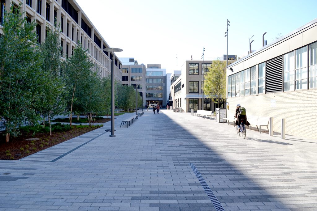 MIT North Corridor Site Design