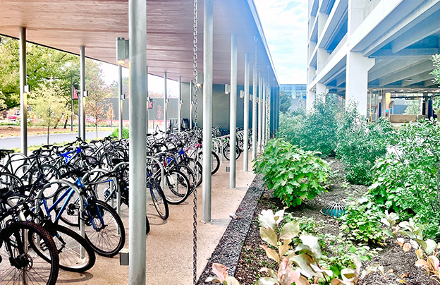 Bioretention With Rain Chains Next To Bike Parking