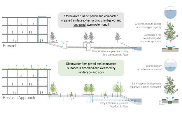 Mit Landscape Ecology Gray To Green Section