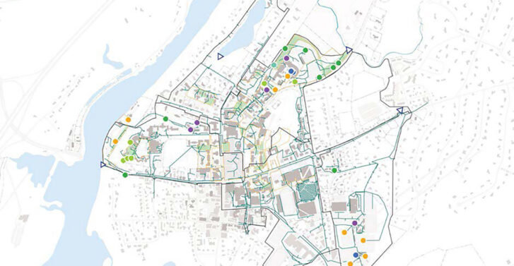 Linear Asset Management