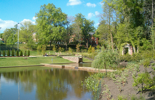 3306 Uva The Dell
